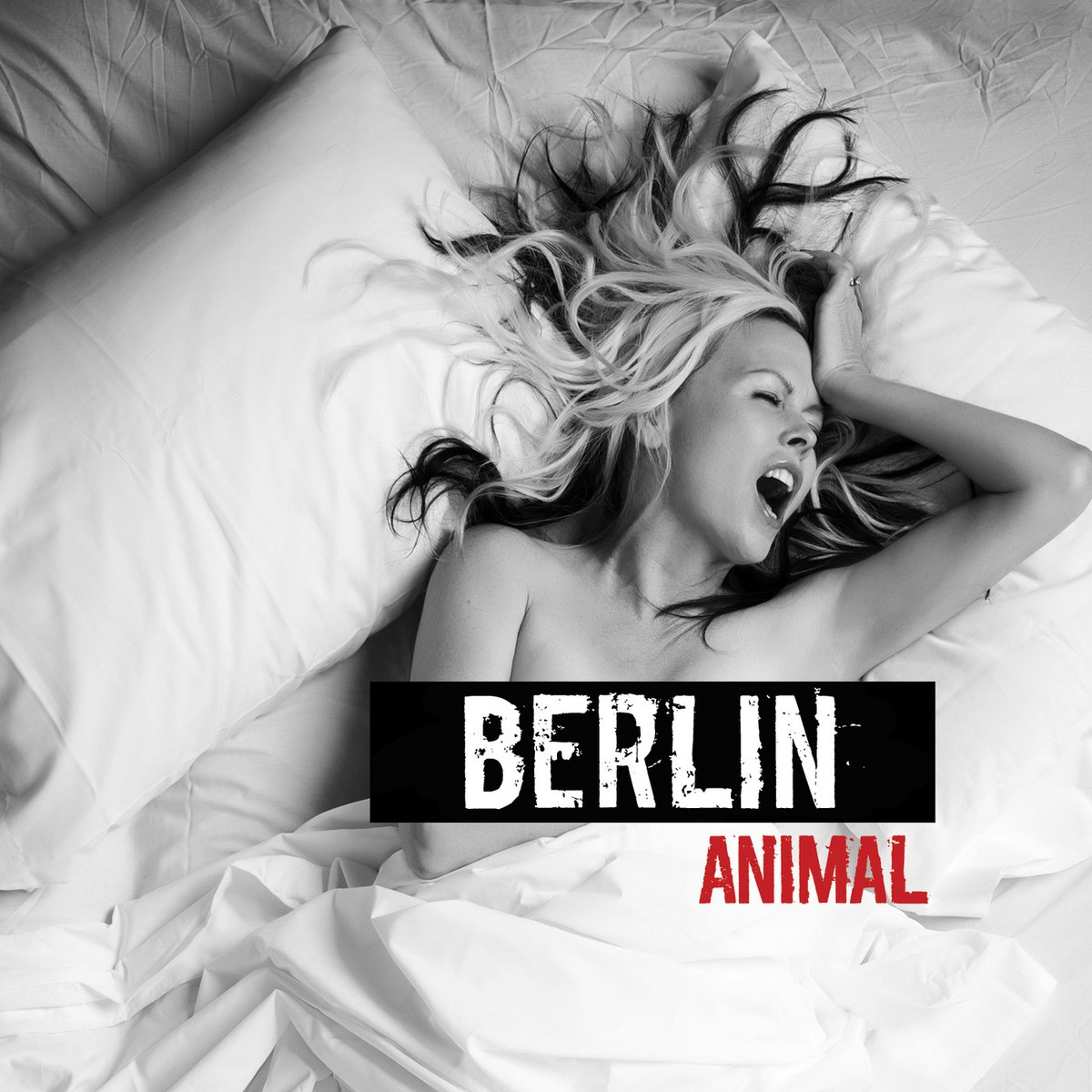 Animal Remix