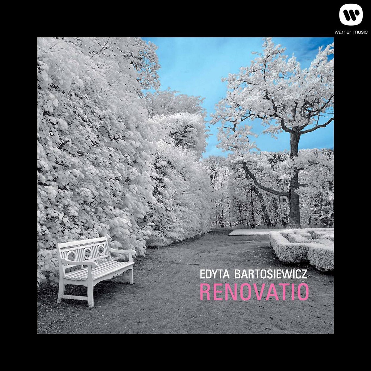 Renovatio