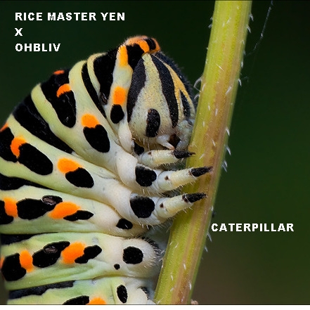 RICE MASTER YEN X OHBLIV - CATERPILLAR