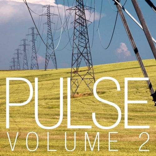 Pulse Vol. 2
