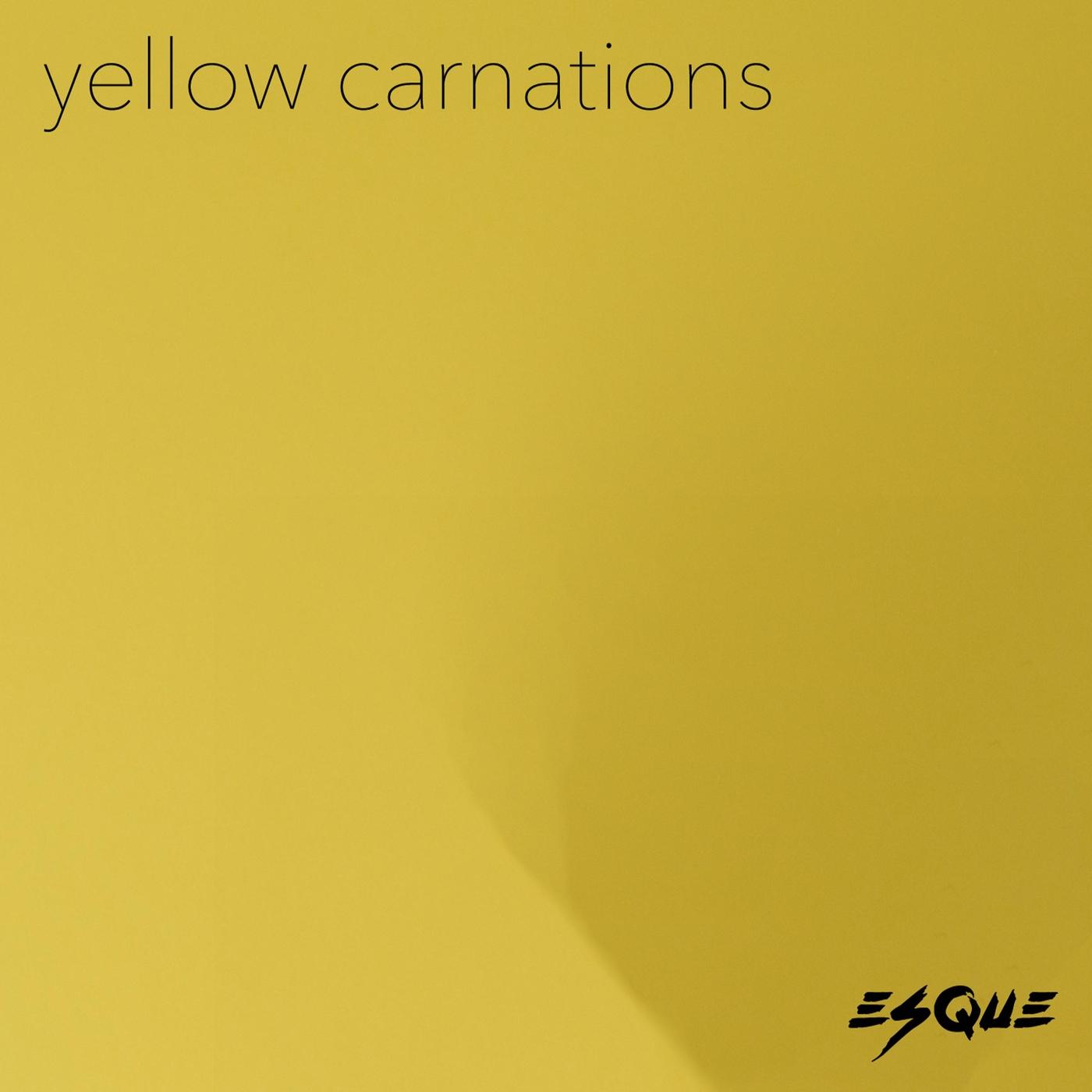 Yellow Carnations