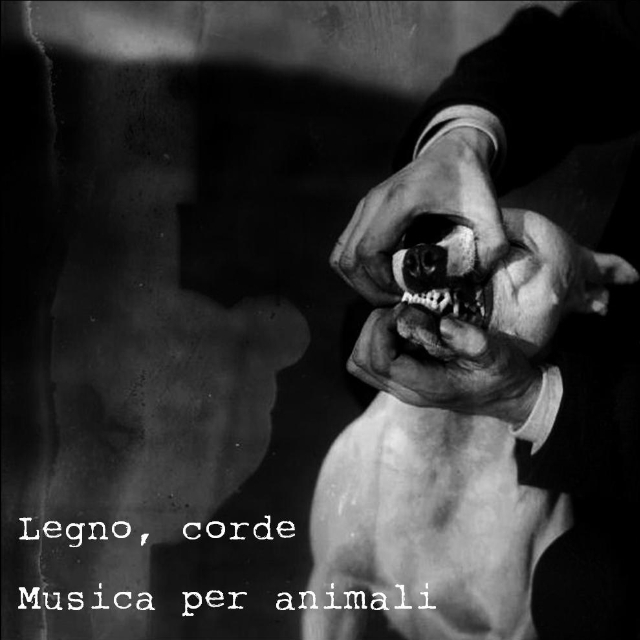 Musica per animali