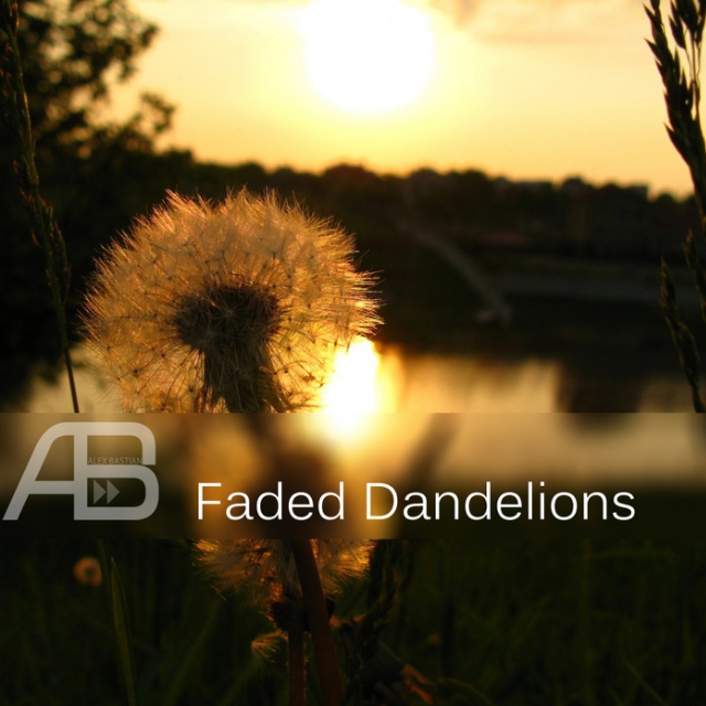 Faded Dandelions (Original Mix)