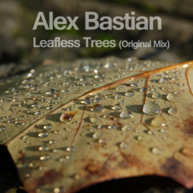 Leafless Trees (Original Mix)