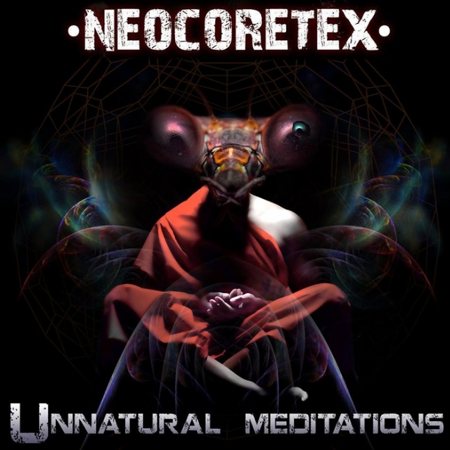 Unnatural Meditations