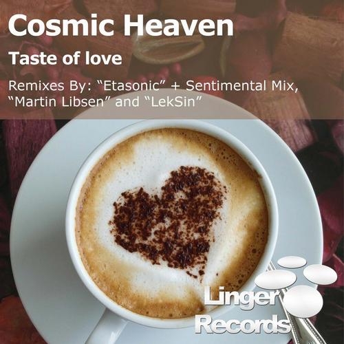 Taste Of Love (Martin Libsen Remix)