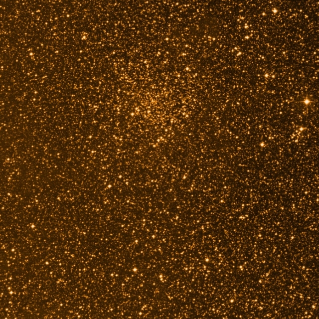  The Golden Starfield