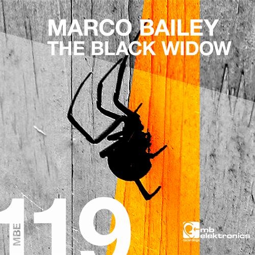 The Black Widow (Original Mix)