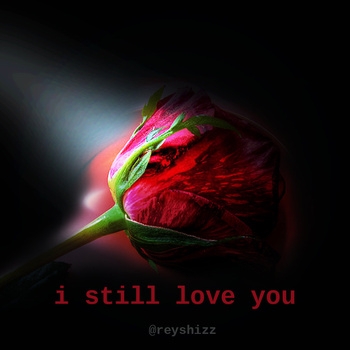 I Still Love You