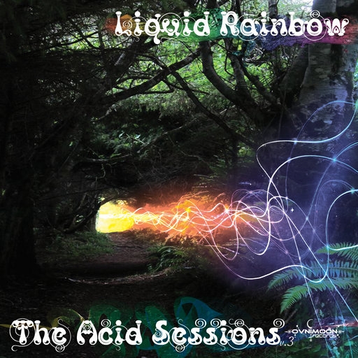 The Acid Sessions Vol 3