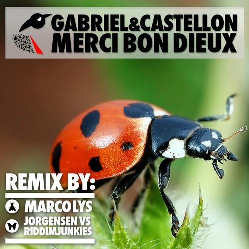 Merci bon dieux (Marco Lys Remix)