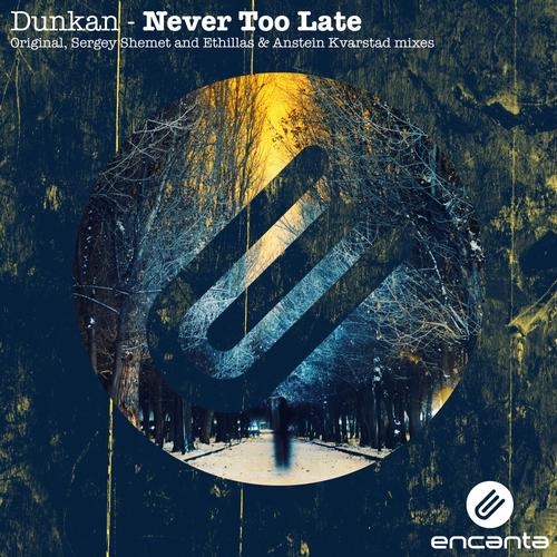 Never Too Late (Original Mix)