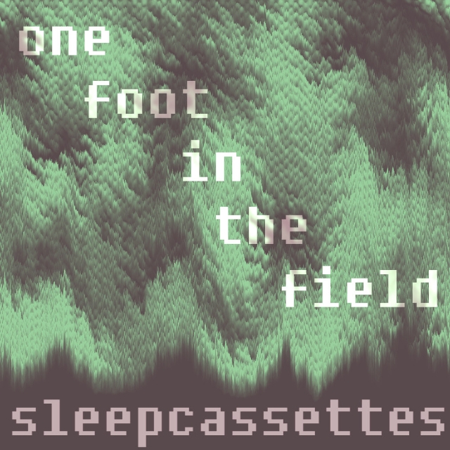 one foot in the field