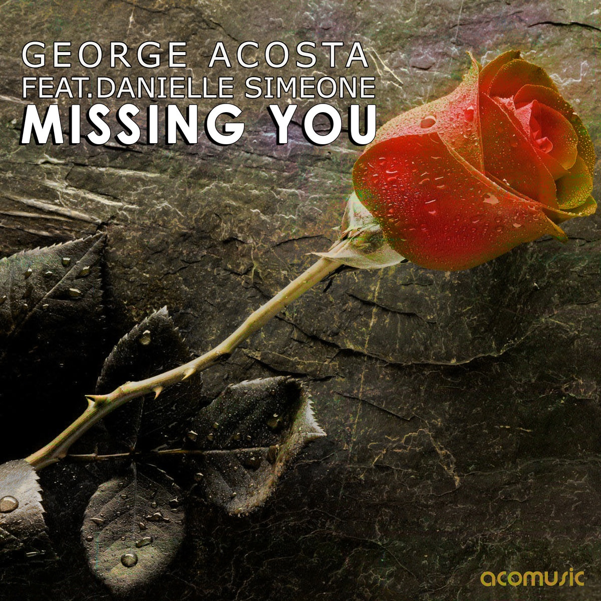 Missing You feat. Danielle Simeone (Original Mix)