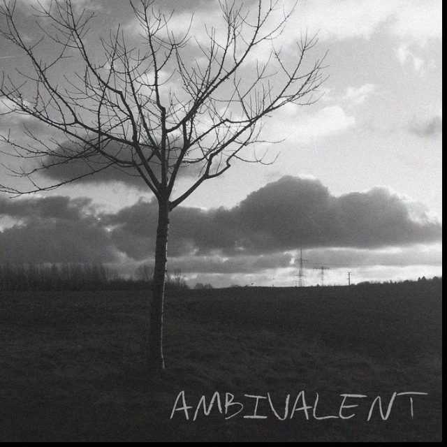 Ambivalent