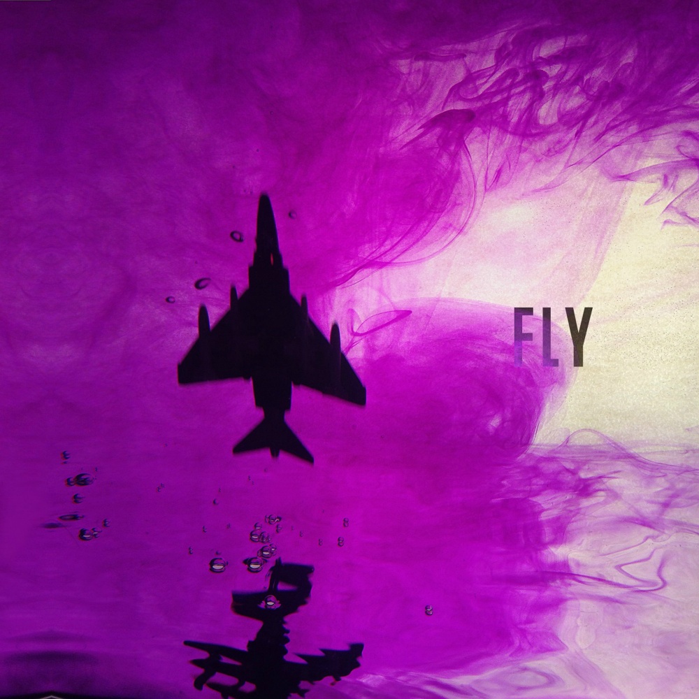 Fly (Inst.)