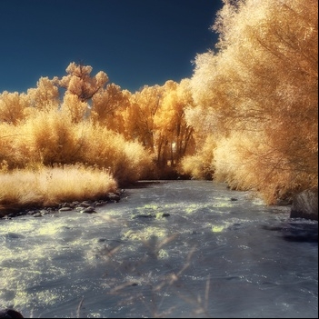 Silver River, Golden Trees