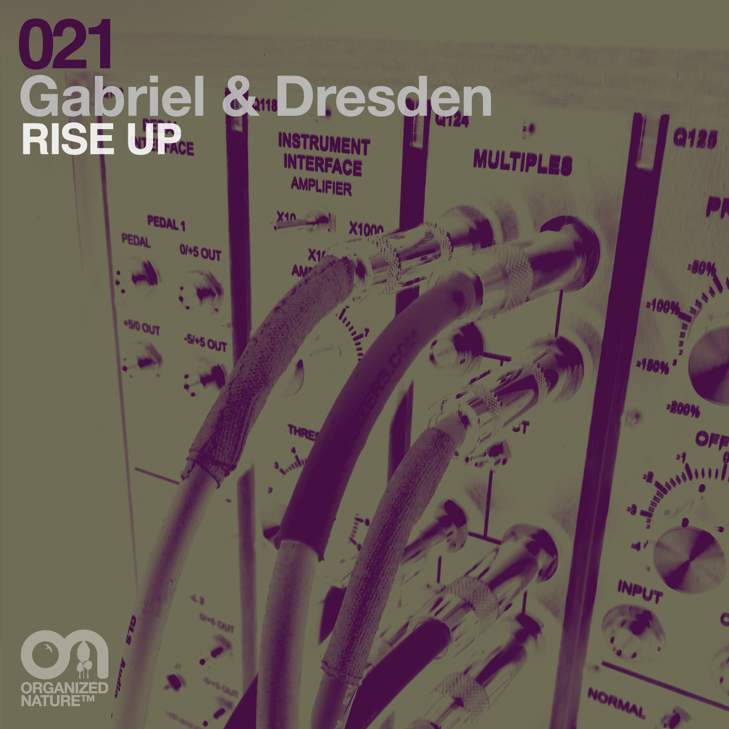 Rise Up (Original Mix)