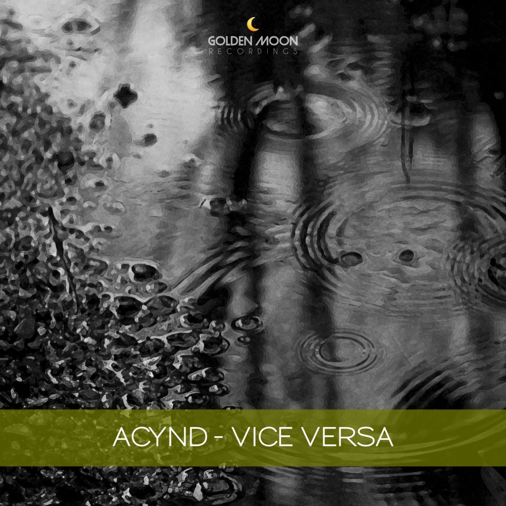 Vice Versa (Original Mix)