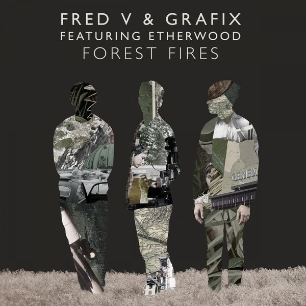 Forest Fires (Massappeals Remix)