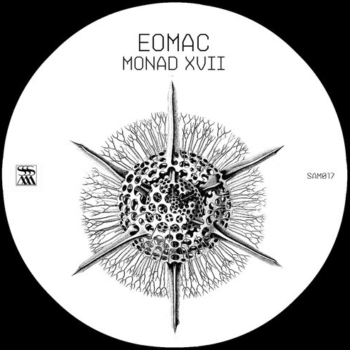 Monad XVII