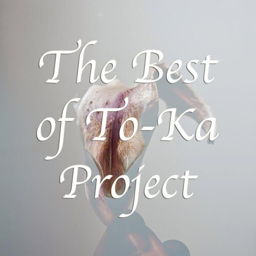 The best of the To-Ka Project