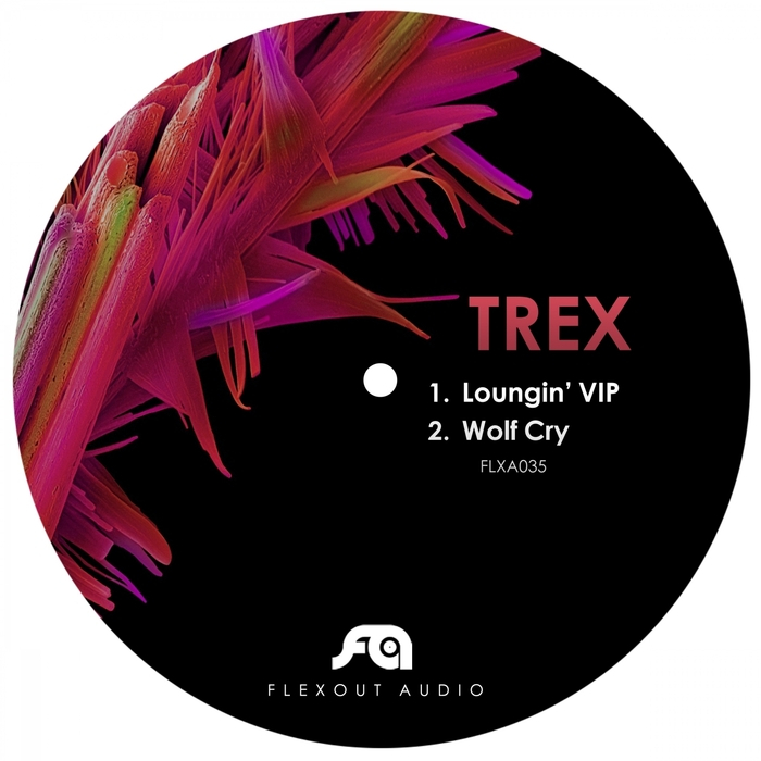 Loungin' Vip / Wolf Cry (FLXA035)