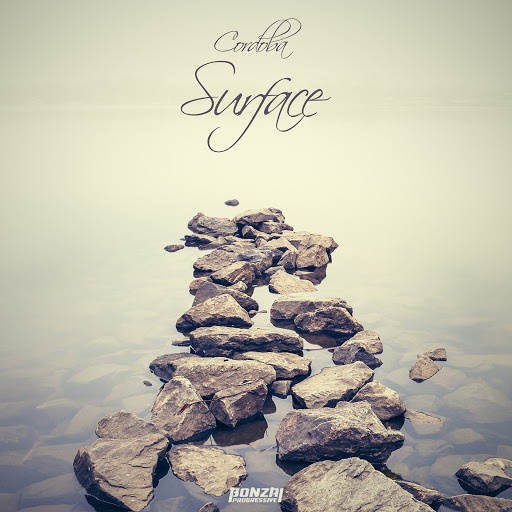 Surface (Original Mix)