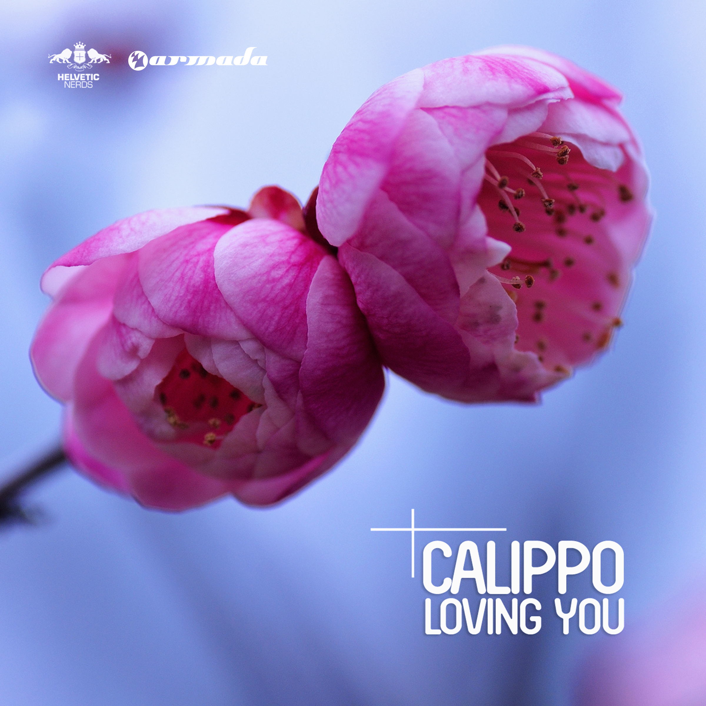 Loving You (Original Mix)