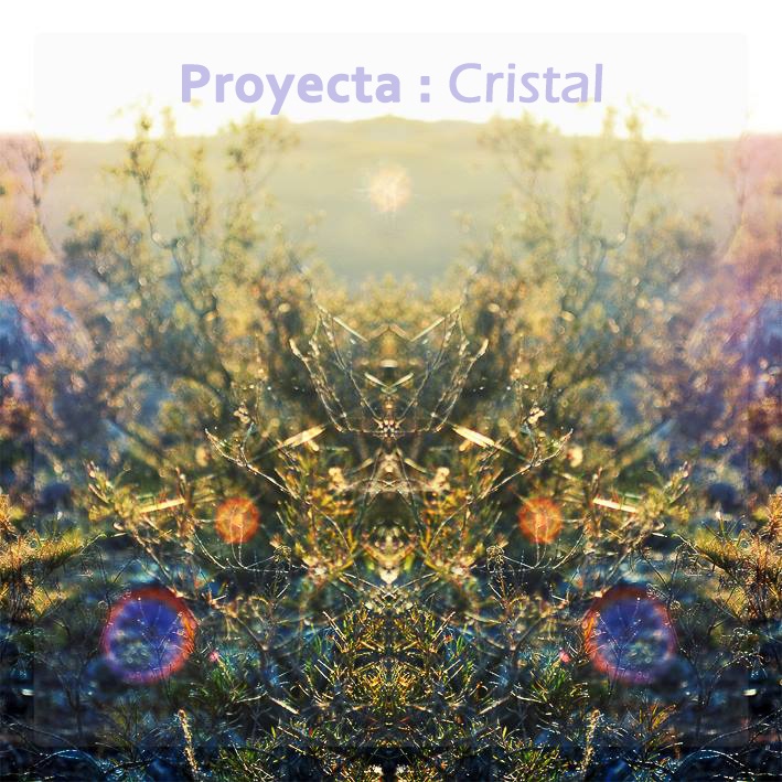 Proyecta : Cristal