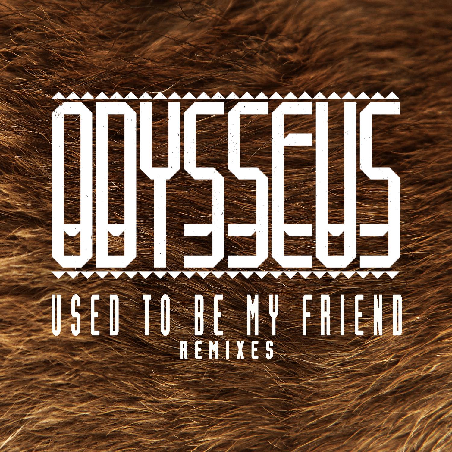 Used to Be My Friend (Remixes)