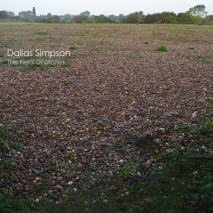 The Field Of Stones