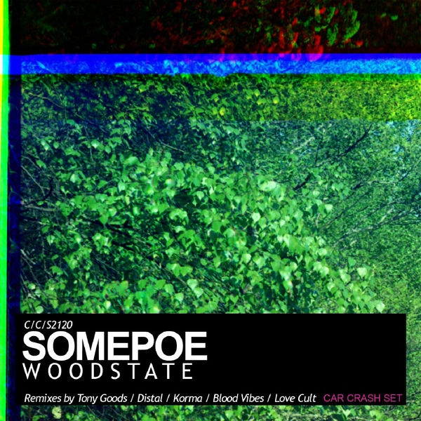 Woodstate (Distal Remix)