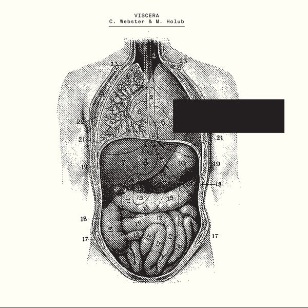 Viscera of Chest and Abdomen