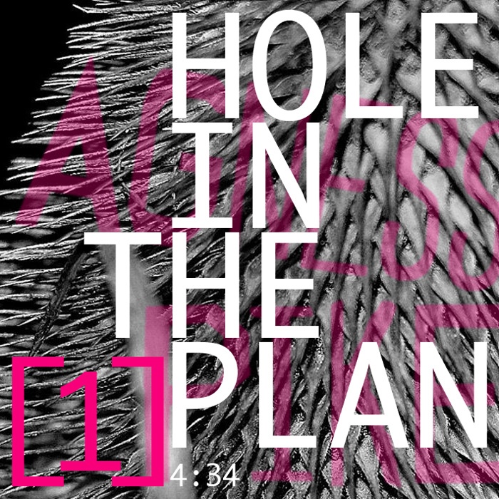 Hole In The Plan