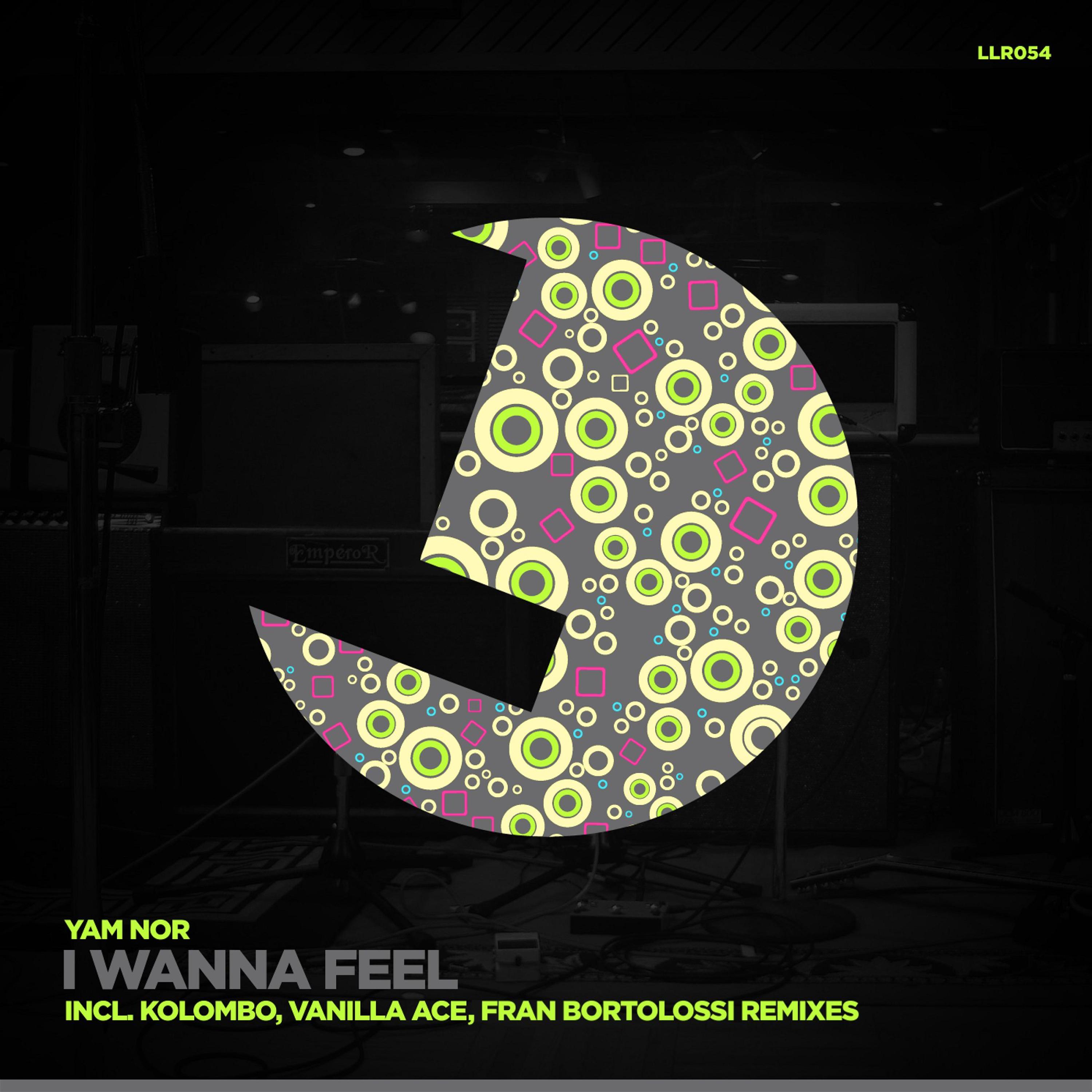 I Wanna Feel (Vanilla Ace Remix)