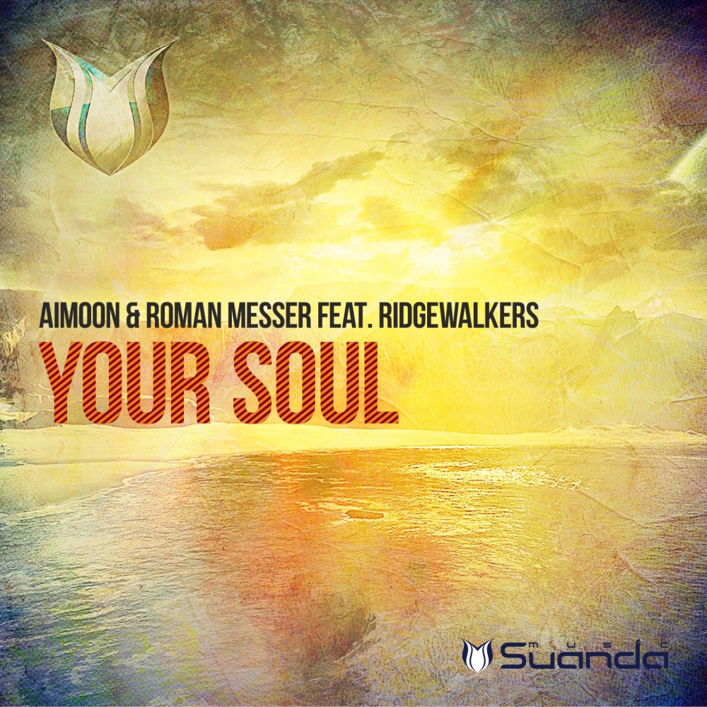 Your Soul (Sergey Shemet Remix)