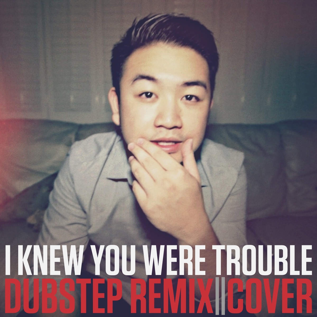 I Knew You Were Trouble (Dubstep Remix)