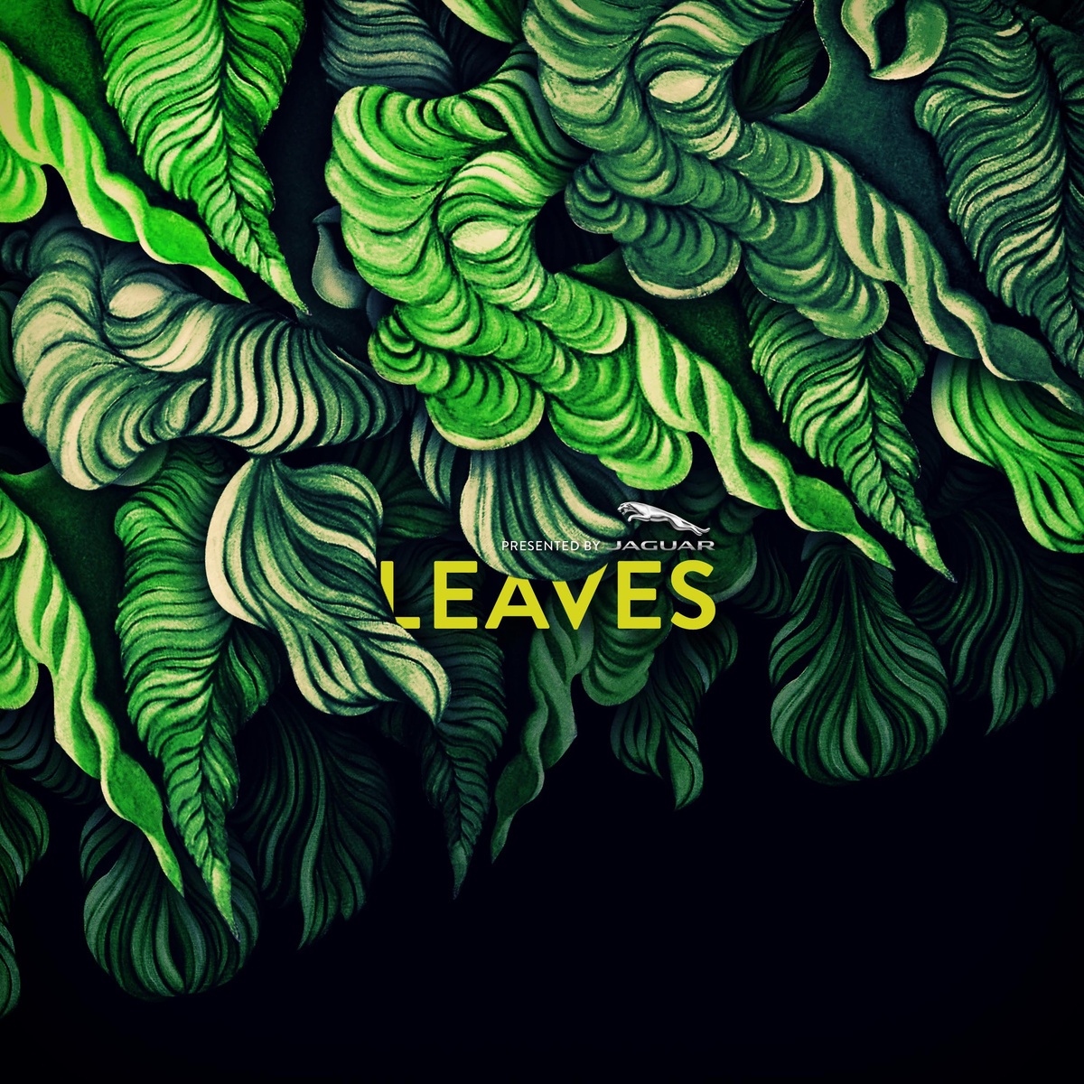 Leaves