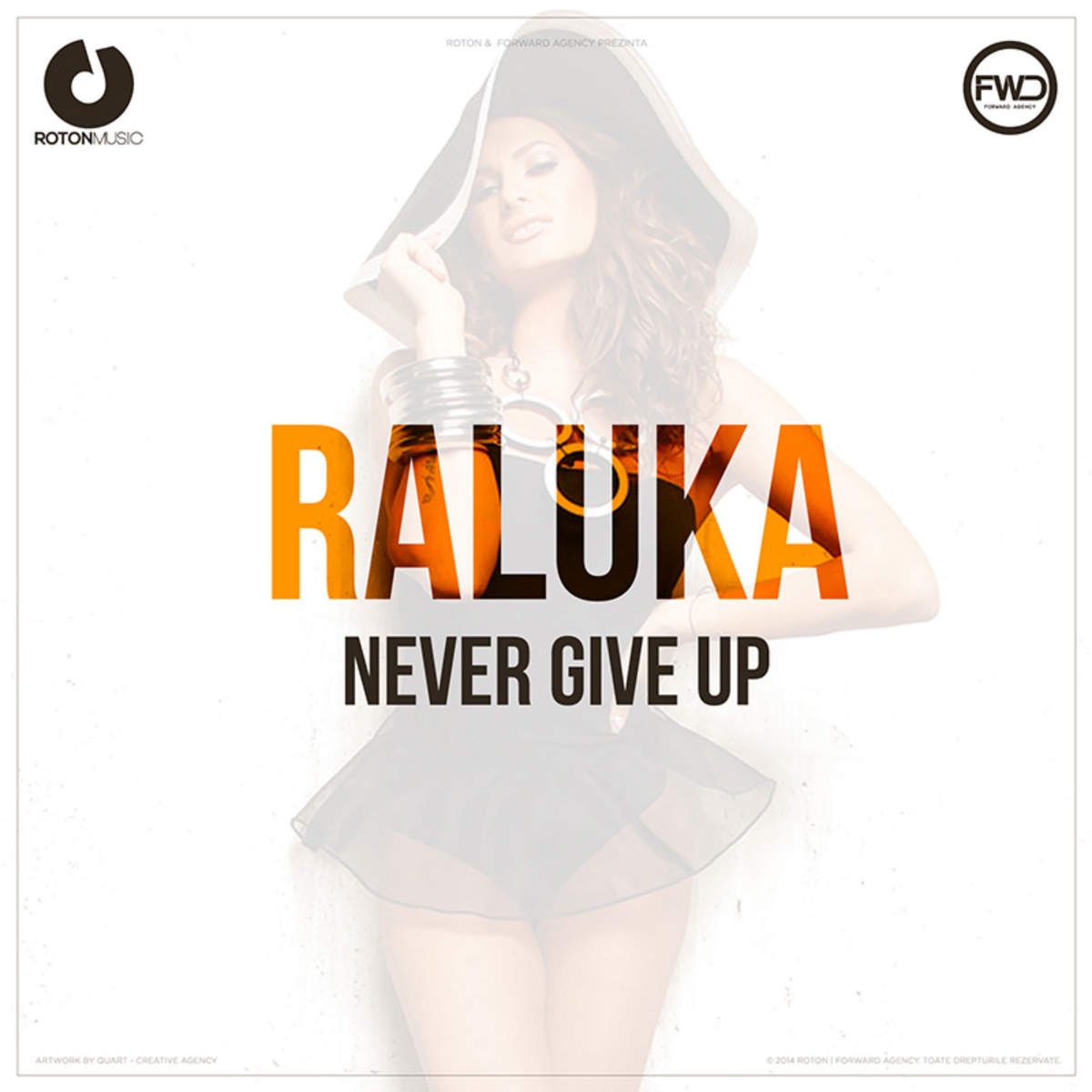 Never Give Up - Single