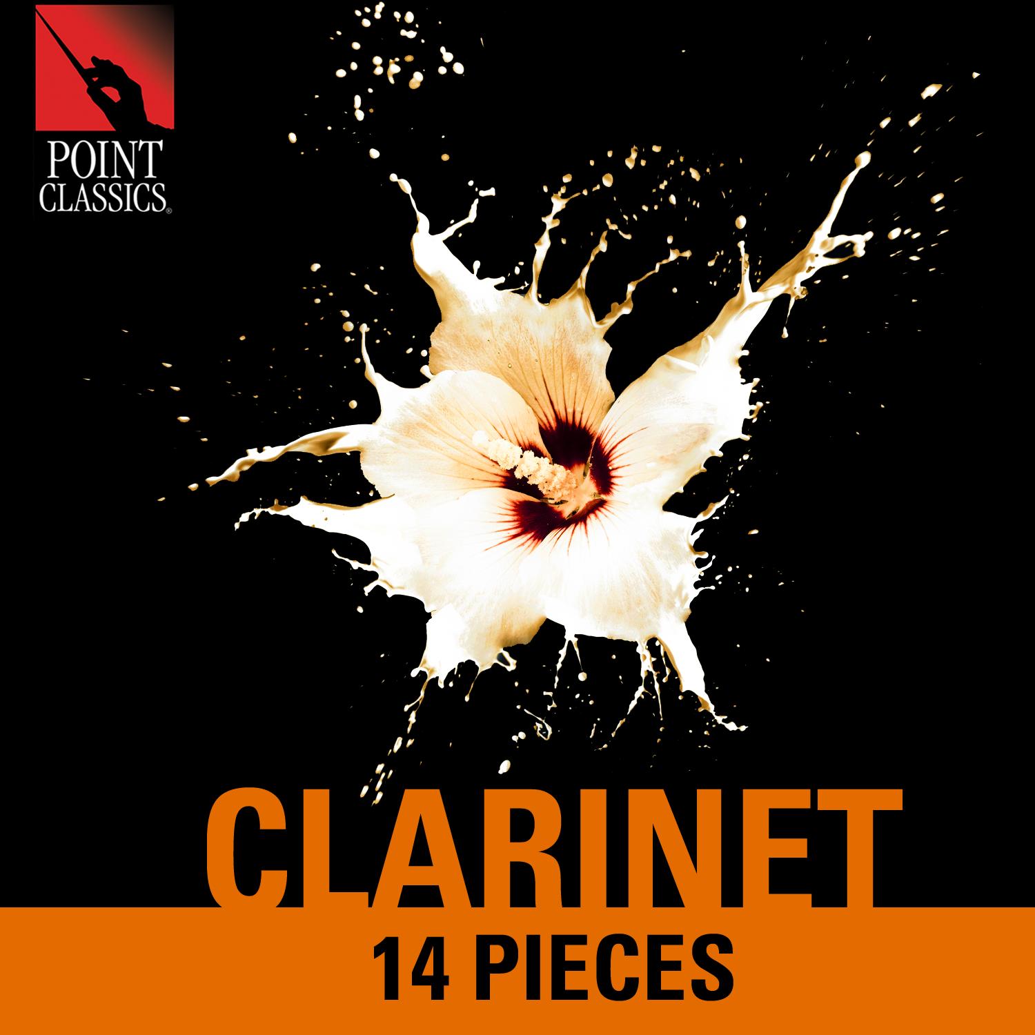 Clarinet Quintet in B-Flat Major, Op. 34, J. 182: I. Allegro