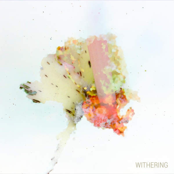 Withering