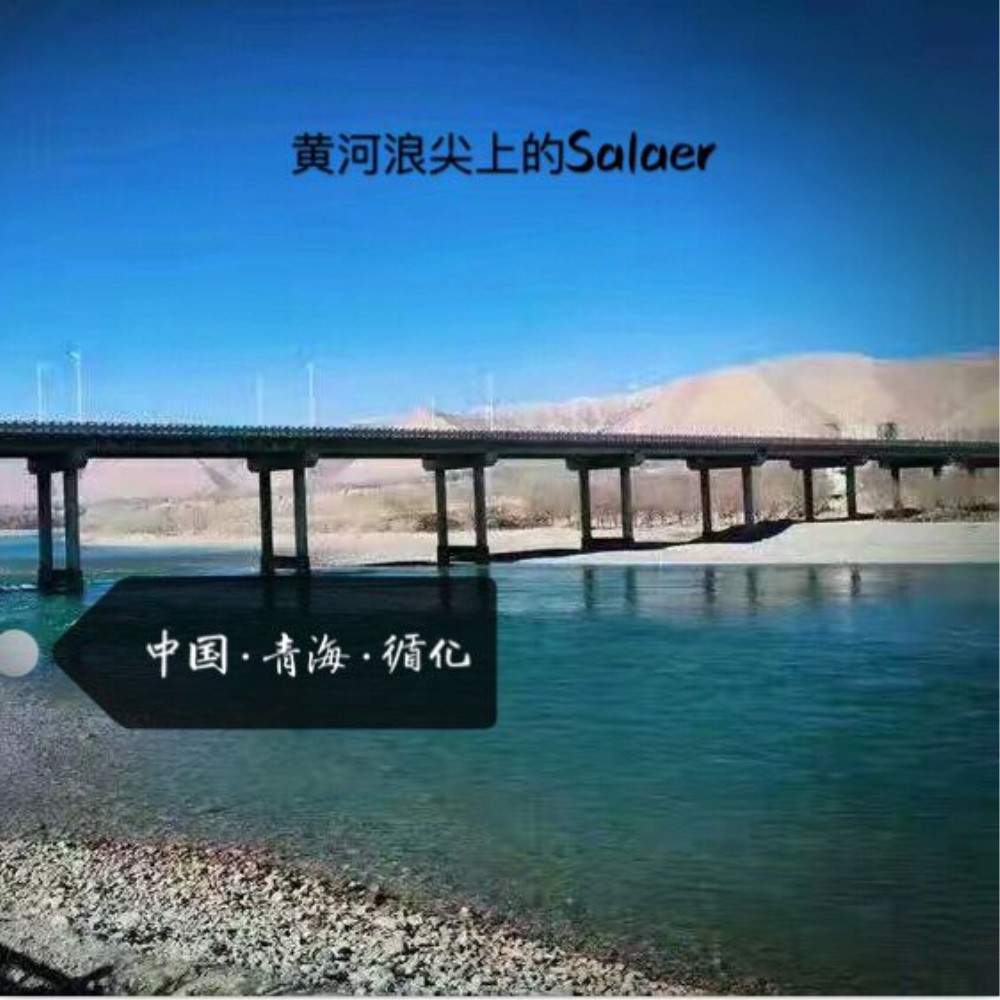 黄河浪尖上的Salaer