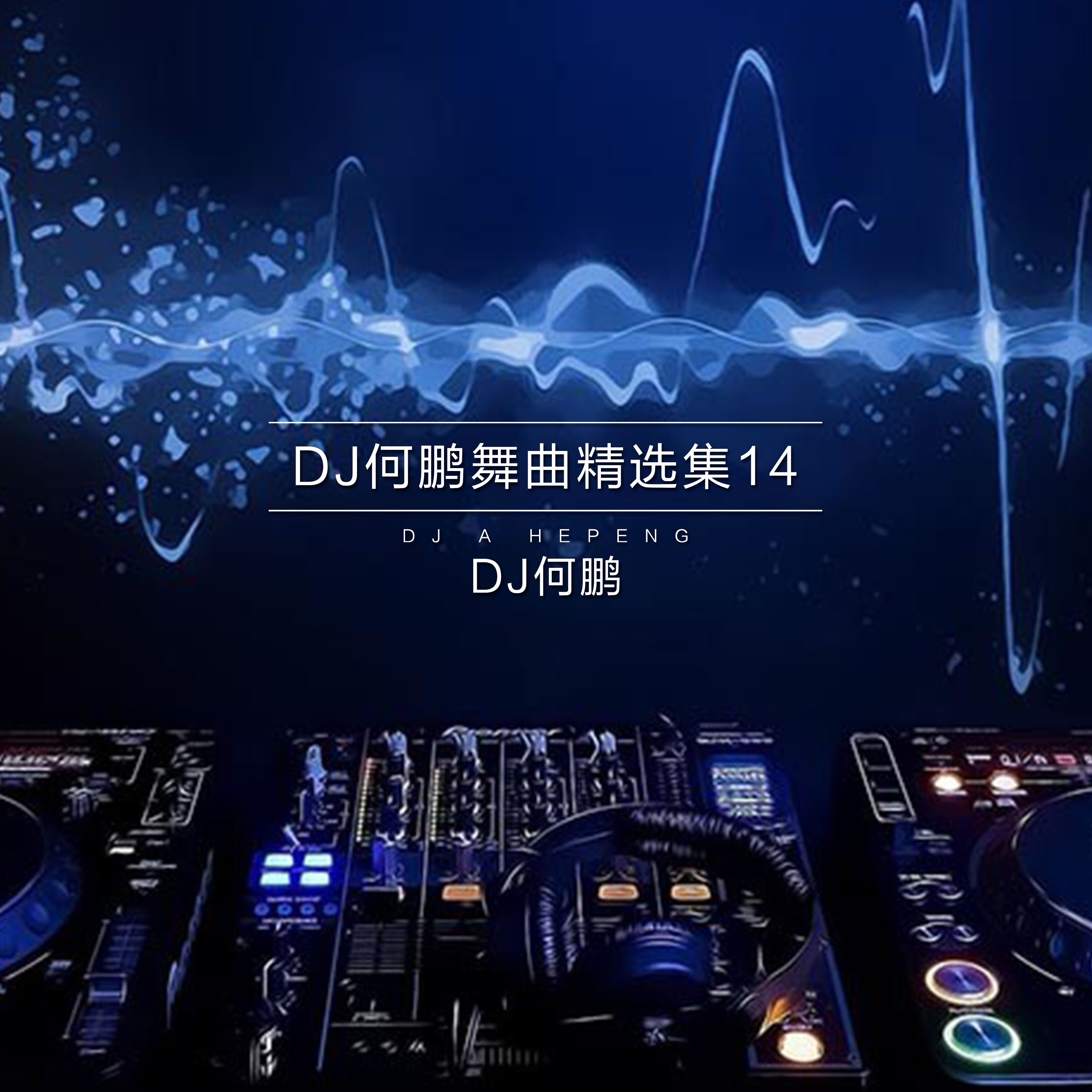 爱了很久痛了很久 (DJ Version)