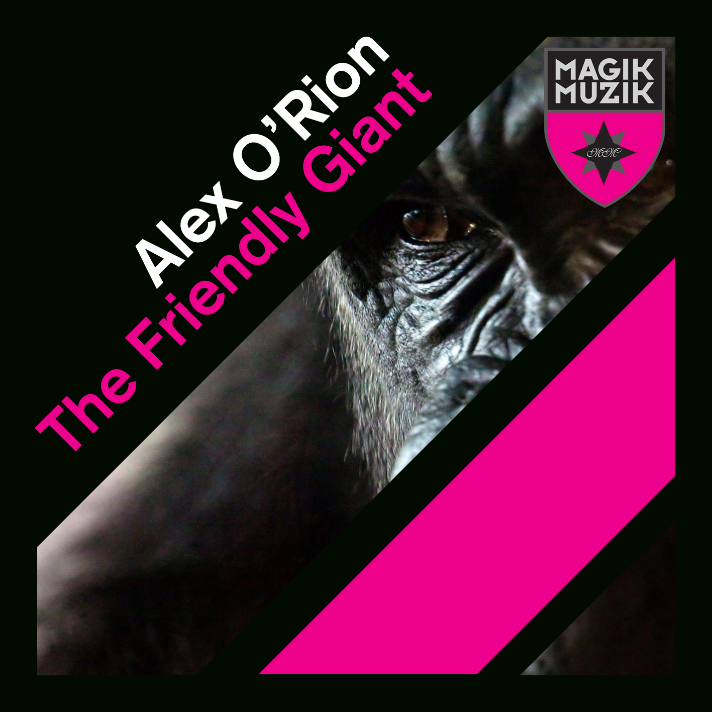 The Friendly Giant (Rolando Vallice Remix)