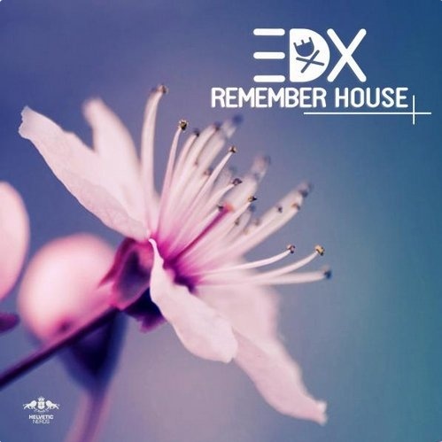 Remember House (Original Mix)