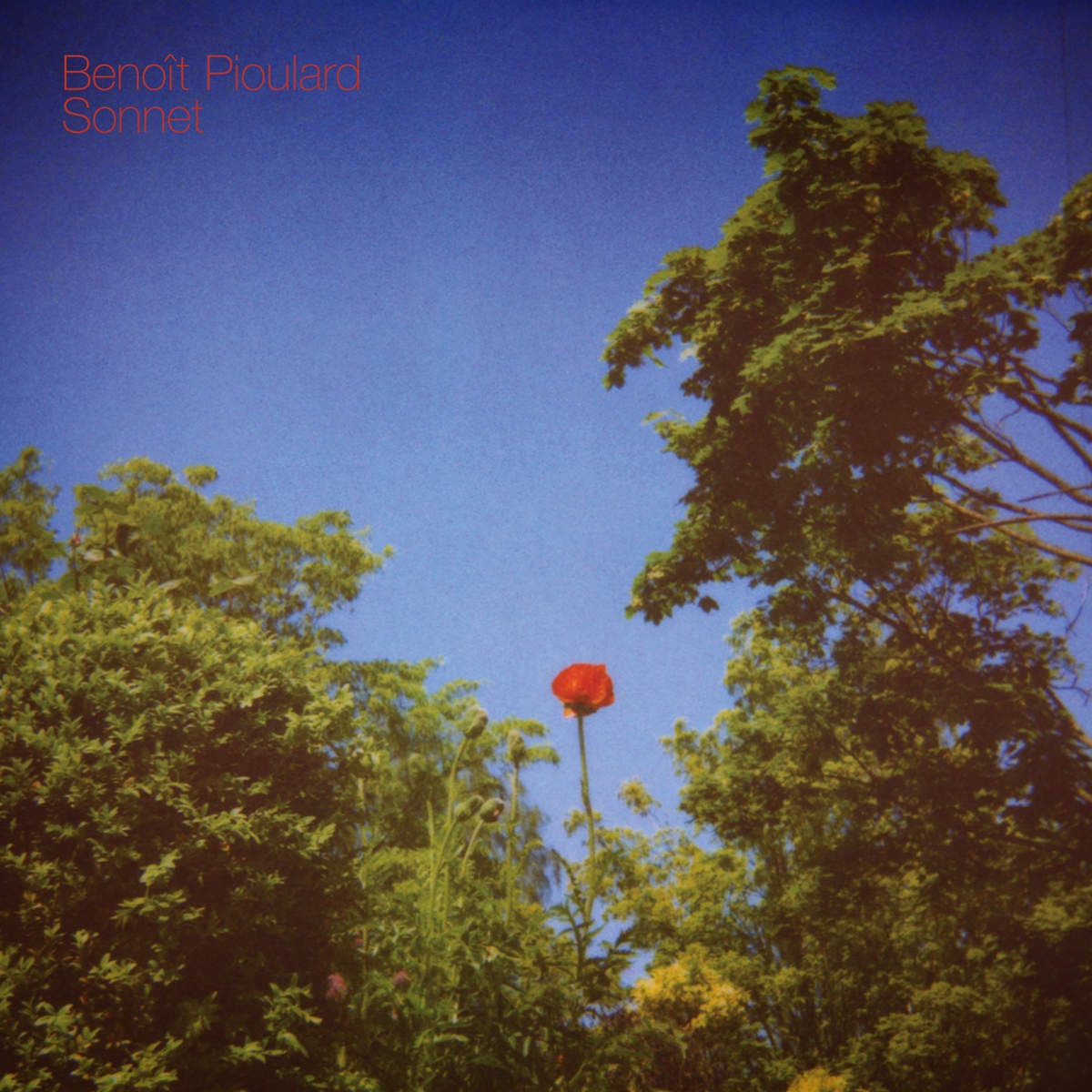 Benoit Pioulard