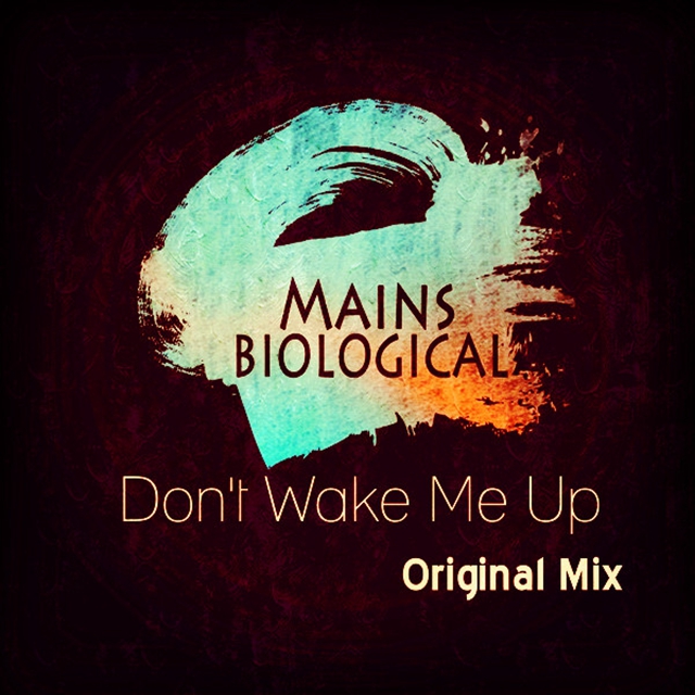 Don't Wake Me Up (Original Mix)