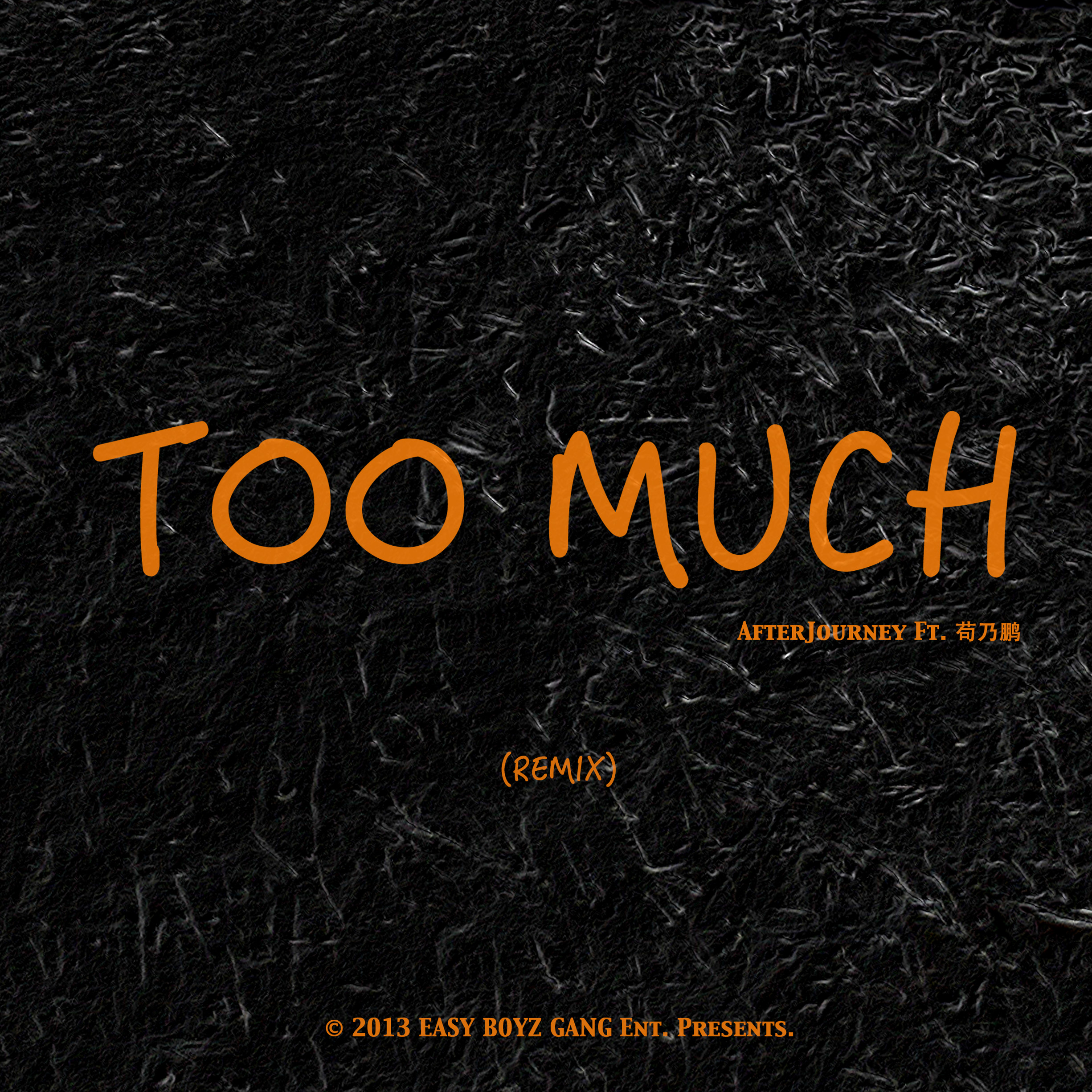 Too Much (Remix) feat. 苟乃鹏