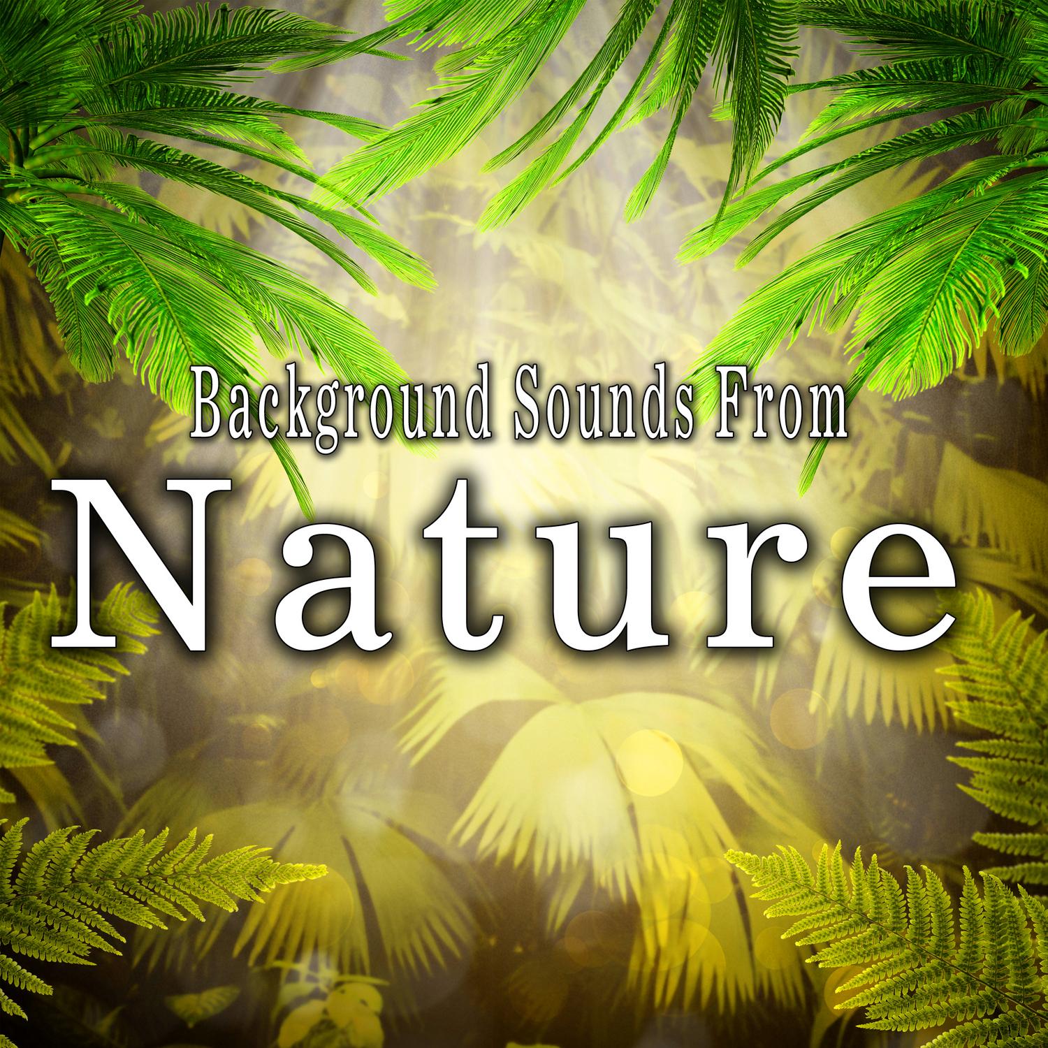 Background Sounds from Nature